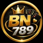 BN789 Game